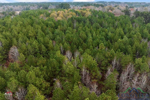 TBD Fm 782, Henderson, TX 75652 - photo 4