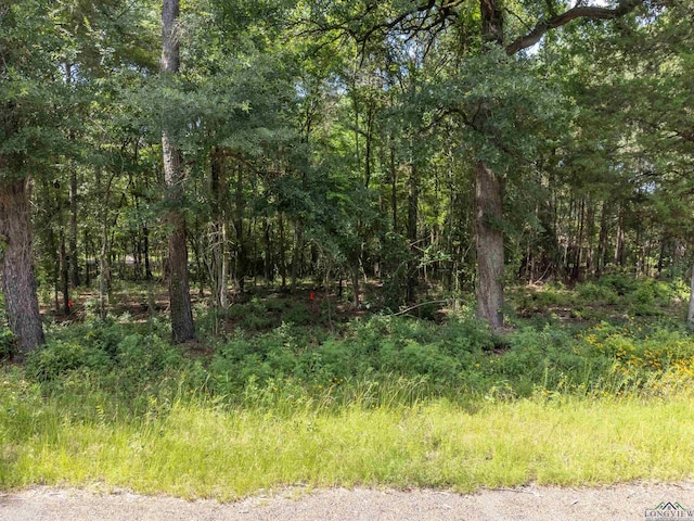 TBD Osborne St, Longview, TX 75605 - photo 6