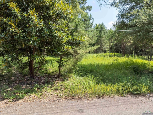 TBD Osborne St, Longview, TX 75605 - photo 9