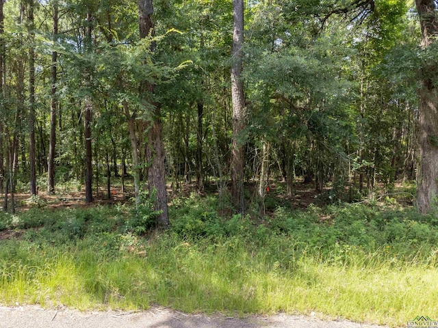 TBD Osborne St, Longview, TX 75605 - photo 7