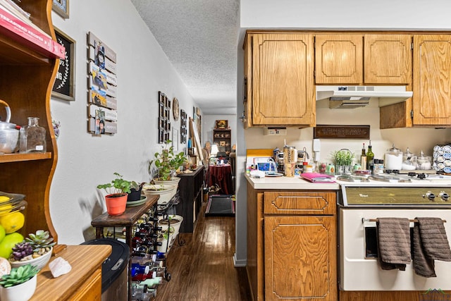 kitchen with light countertops, dark wood-style floors, under cabinet range hood, and a textured ceiling