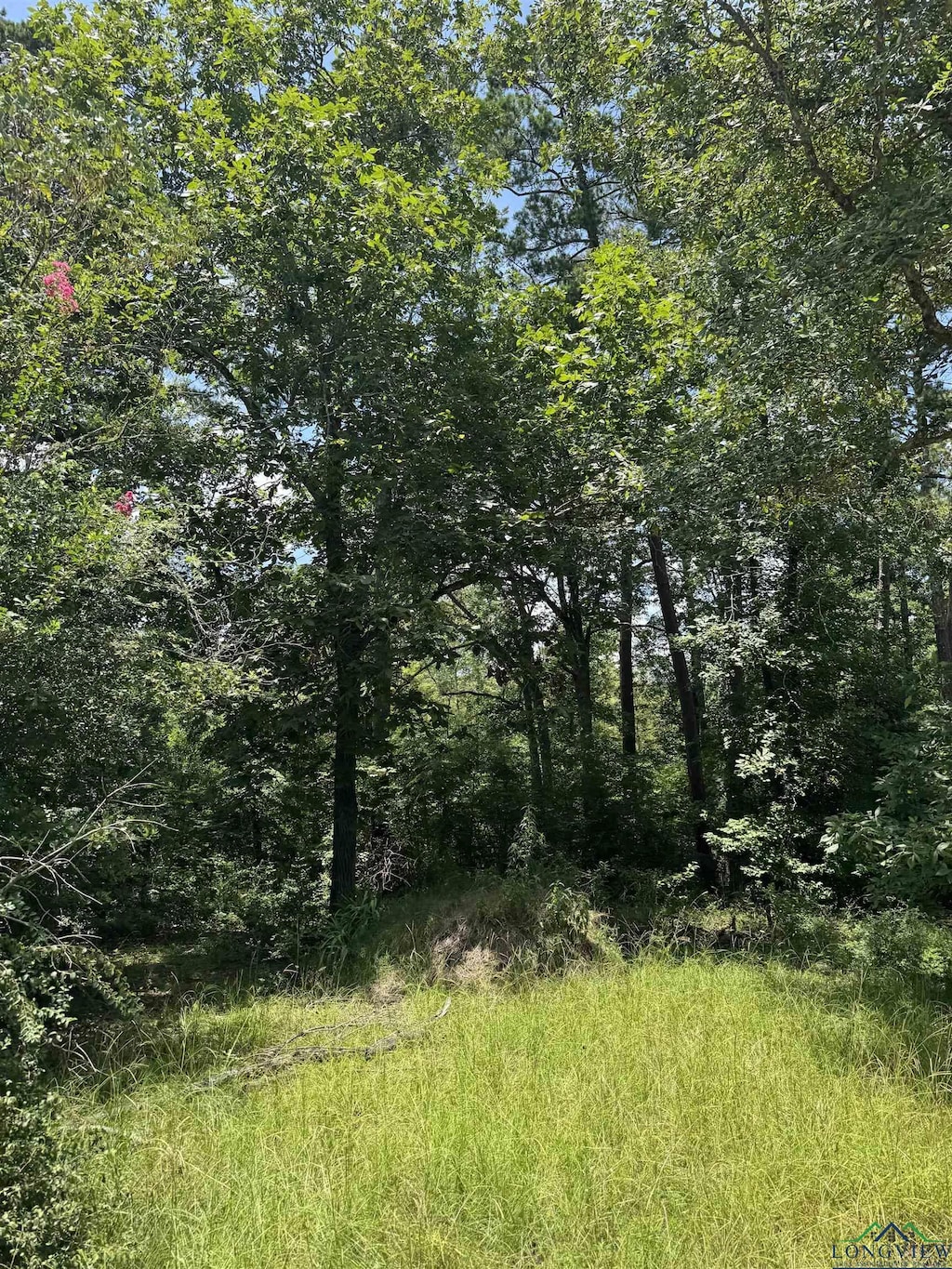 TBD Cortez Rd, Jefferson, TX 75657 - photo 2