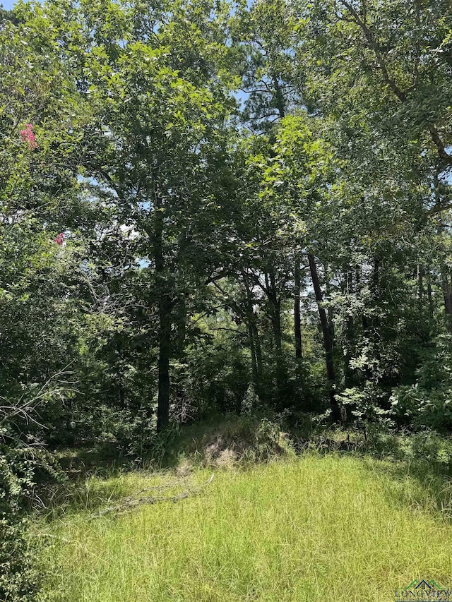 TBD Cortez Rd, Jefferson, TX 75657 - photo 2
