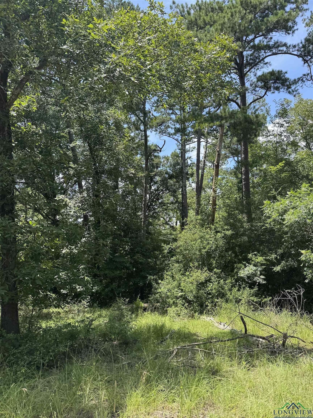 TBD Cortez Rd, Jefferson, TX 75657 - photo 1