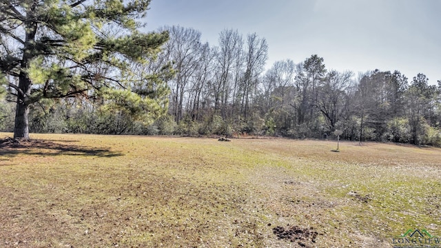 Listing photo 3 for 19771 County Road 2152, Troup TX 75789