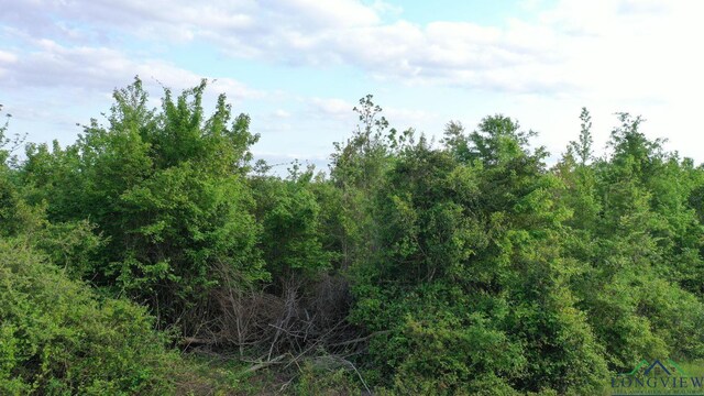 695 County Road 1463, Hughes Springs, TX 75656