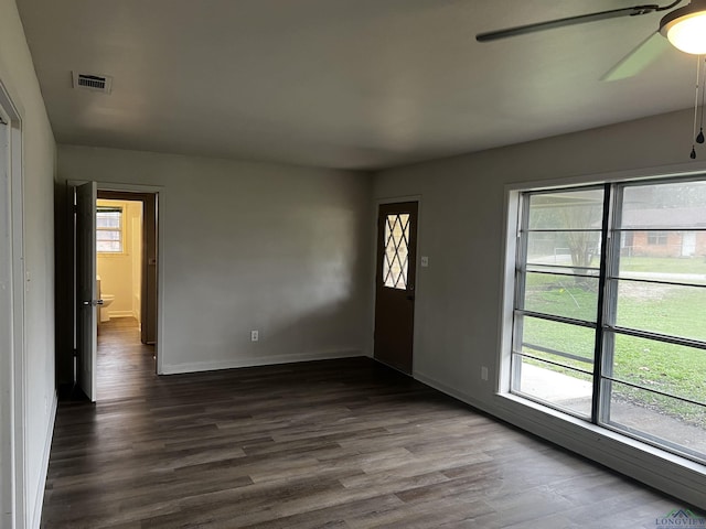 foyer featuring dark hardwood / wood-style flooring, ceiling fan, and a healthy amount of sunlight