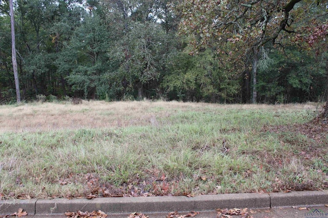 LOT9 Woodview Ln, Kilgore TX, 75662 land for sale