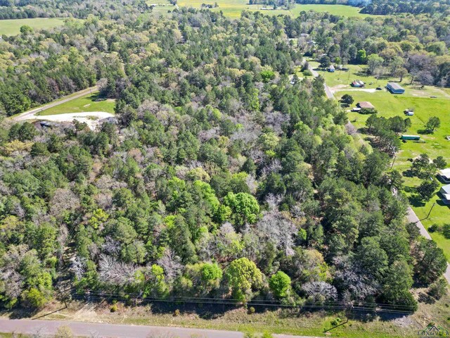 TBDAN County Road 185, Elkhart, TX 75839 - photo 4