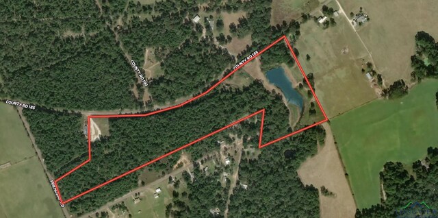 TBDAN County Road 185, Elkhart, TX 75839 - photo 2