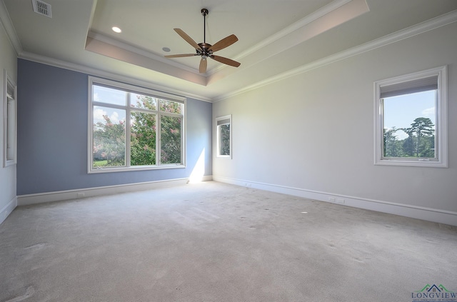 empty room featuring crown molding, light carpet, and a tray ceiling