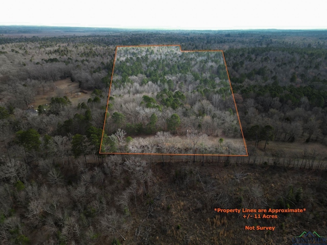 20113 Starnes Loop, Gladewater TX, 75647 land for sale