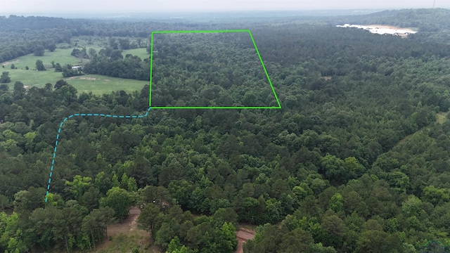 TBD Aster Rd, Gilmer, TX 75644