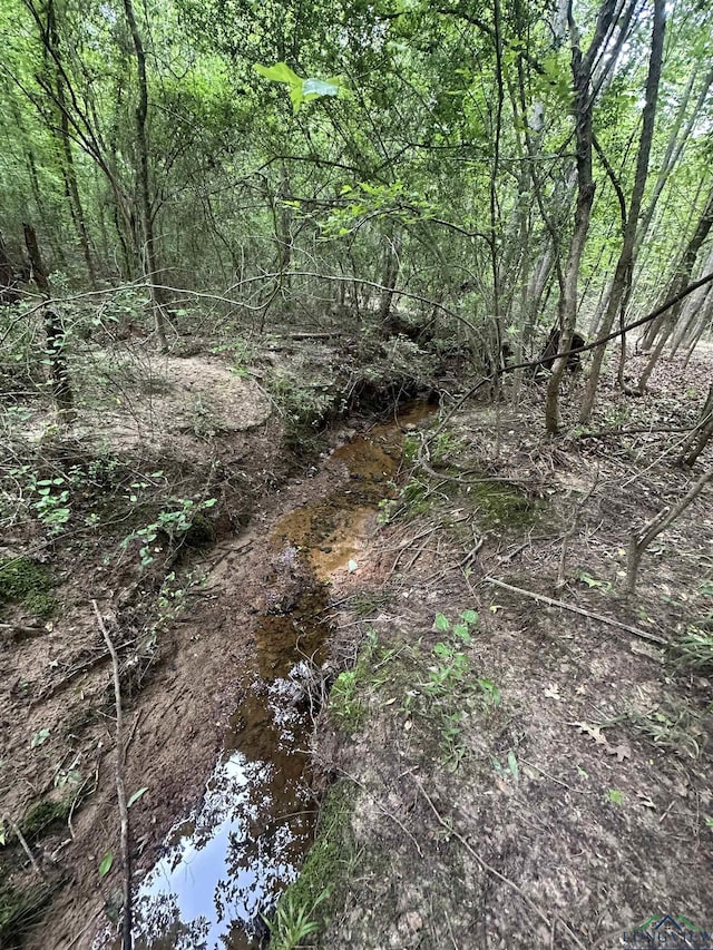 TBD Aster Rd, Gilmer, TX 75644