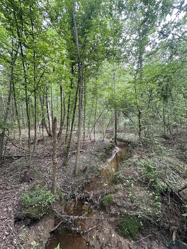 TBD Aster Rd, Gilmer, TX 75644