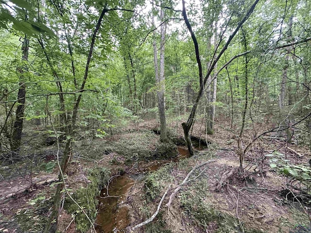 TBD Aster Rd, Gilmer, TX 75644