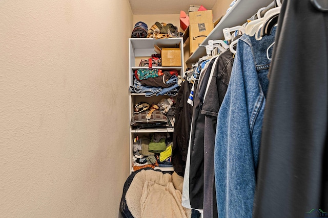 view of walk in closet