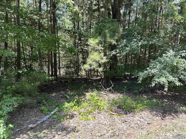 Listing photo 2 for TBD Hawthorne, Gilmer TX 75644