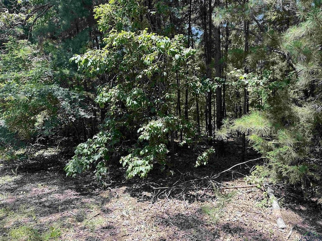 Listing photo 3 for TBD Hawthorne, Gilmer TX 75644