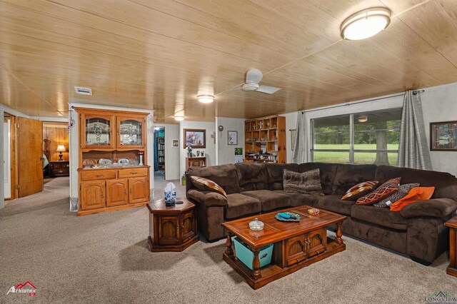 8265 Caladium Rd, Ore City, TX 75662 - photo 12