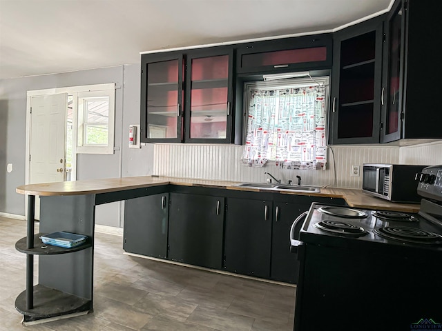 kitchen with electric range and sink