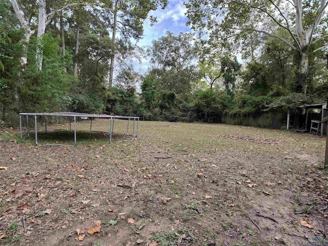 view of yard featuring a trampoline