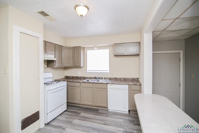 kitchen with sink, white appliances, a paneled ceiling, and light hardwood / wood-style floors