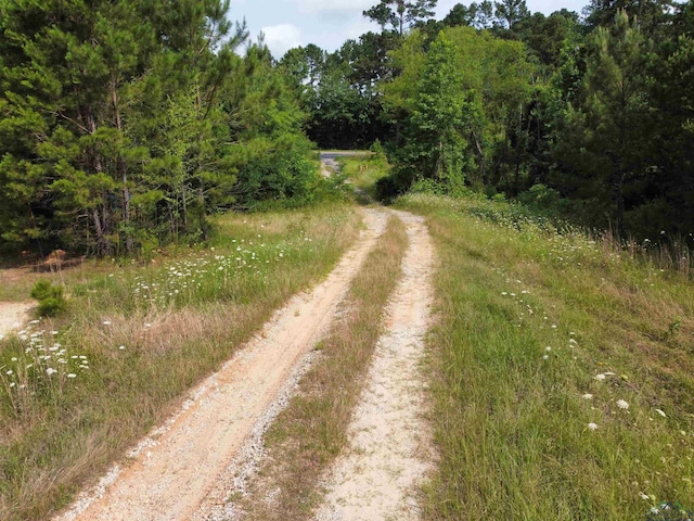 0000 E State Highway 43, Tatum, TX 75691