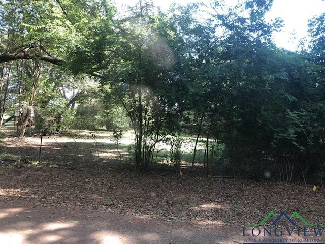 Listing photo 3 for 302 S Lane Wells Dr, Longview TX 75604