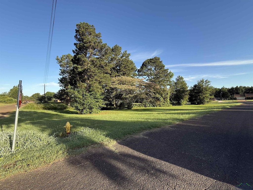 LOT4 Falcon St, Tatum, TX 75691