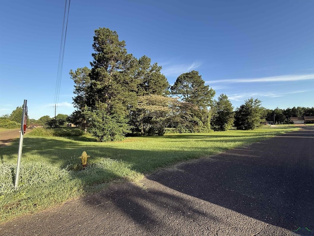 LOT4 Falcon St, Tatum, TX 75691