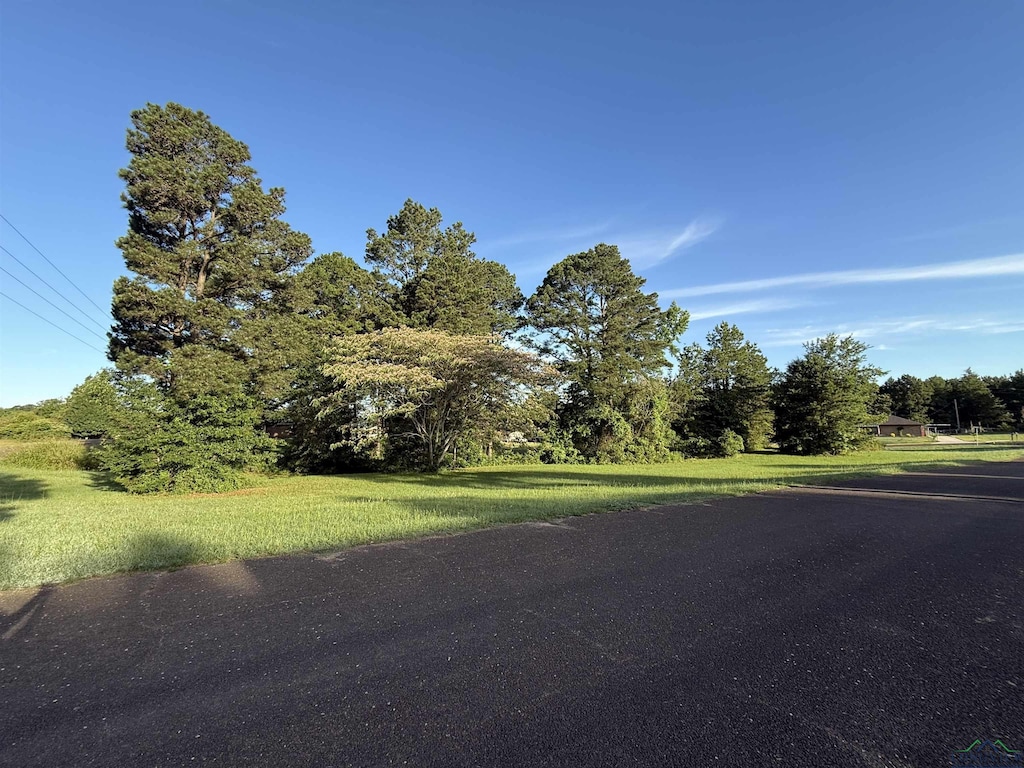 LOT4 Falcon St, Tatum, TX 75691