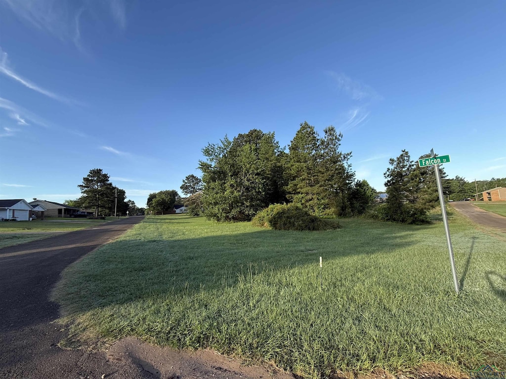 LOT4 Falcon St, Tatum, TX 75691