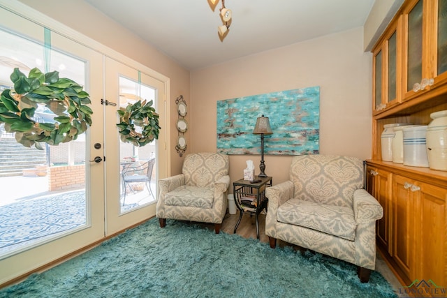 sitting room featuring carpet floors, a wealth of natural light, and french doors