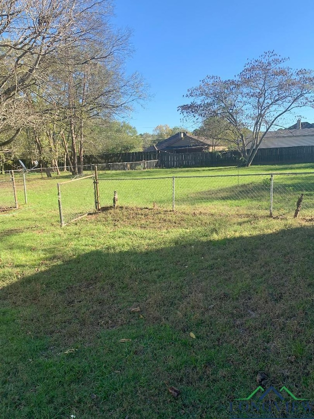 view of yard with a rural view