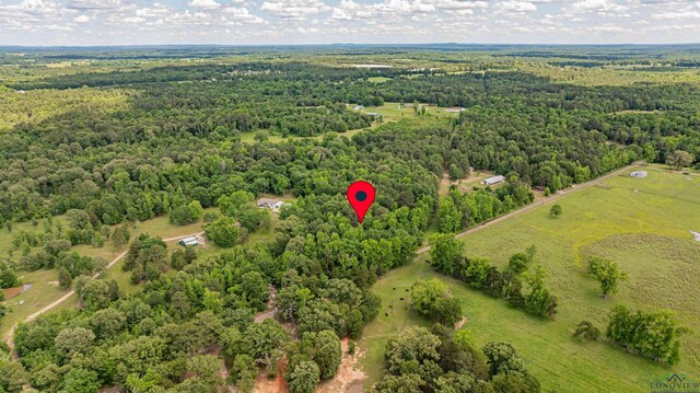 TBD Woodchuck Rd, Pittsburg, TX 75494 - photo 4