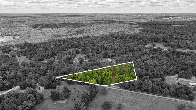 TBD Woodchuck Rd, Pittsburg, TX 75494 - photo 3