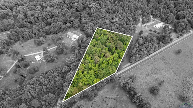 TBD Woodchuck Rd, Pittsburg, TX 75494 - photo 7