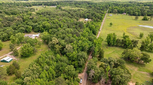 TBD Woodchuck Rd, Pittsburg, TX 75494 - photo 10