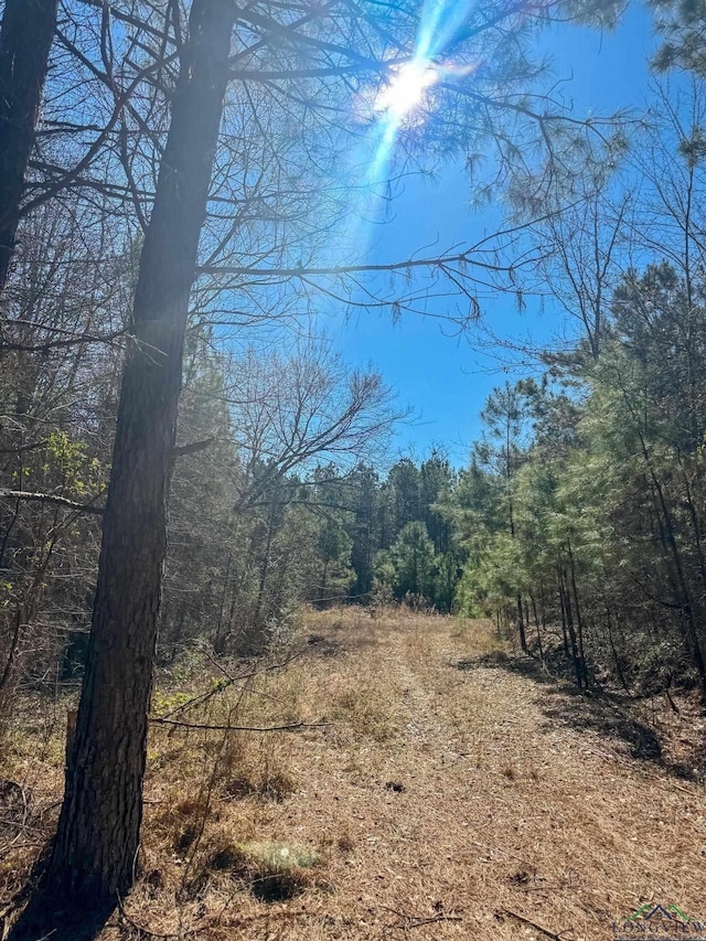 view of local wilderness featuring a wooded view