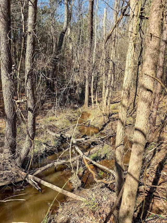 view of landscape featuring a forest view