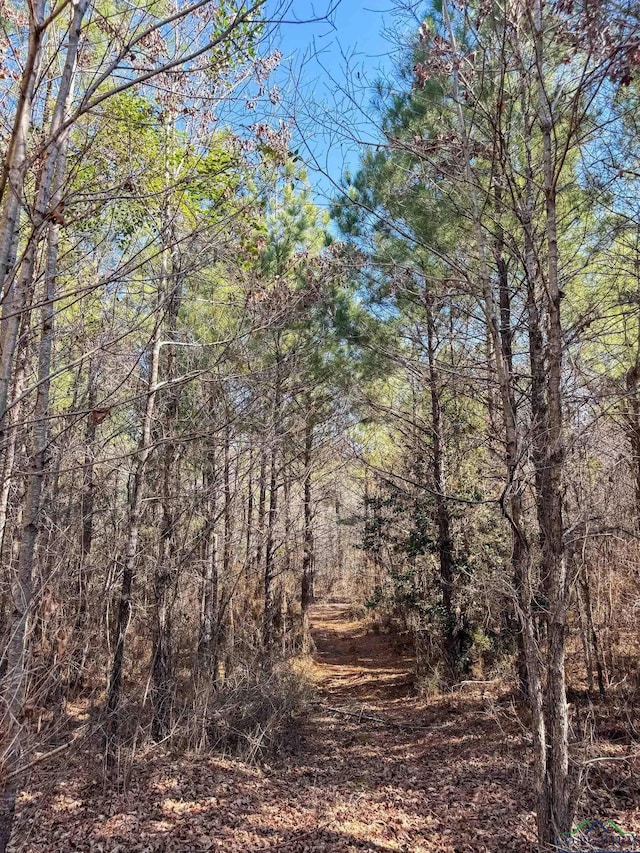 view of local wilderness featuring a forest view