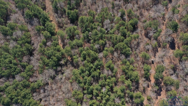 birds eye view of property with a view of trees