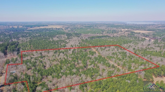 birds eye view of property featuring a wooded view