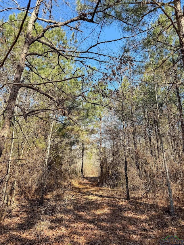 view of nature featuring a view of trees