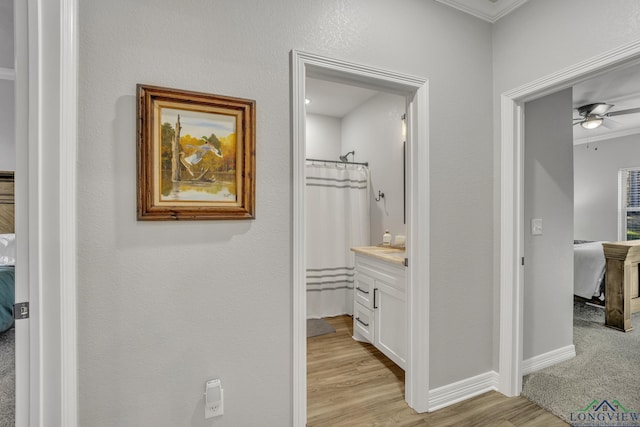 corridor featuring ornamental molding and light wood-type flooring