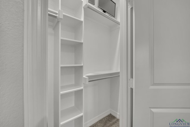 spacious closet featuring carpet floors