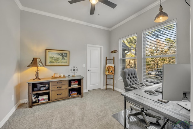 home office featuring ceiling fan, ornamental molding, and carpet