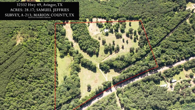 32332 W State Highway 49, Avinger, TX 75630 - photo 20