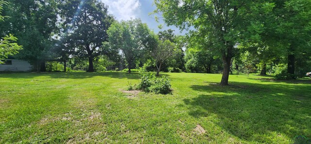 32332 W State Highway 49, Avinger, TX 75630 - photo 17